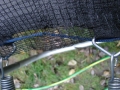 DSC05357.JPG