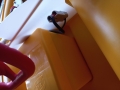 bumper boat 10.jpg