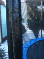 20.gif
