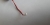pin1.jpg